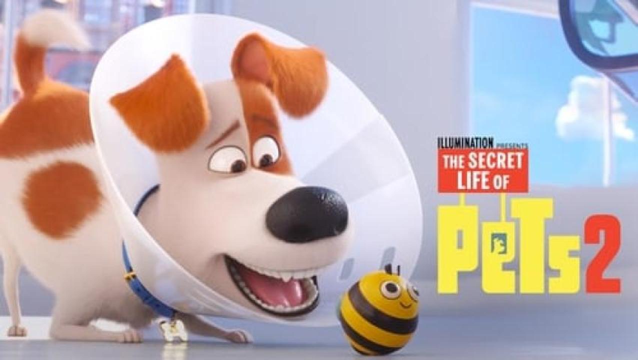 مشاهدة فيلم The Secret Life of Pets 2 2019 مترجم 