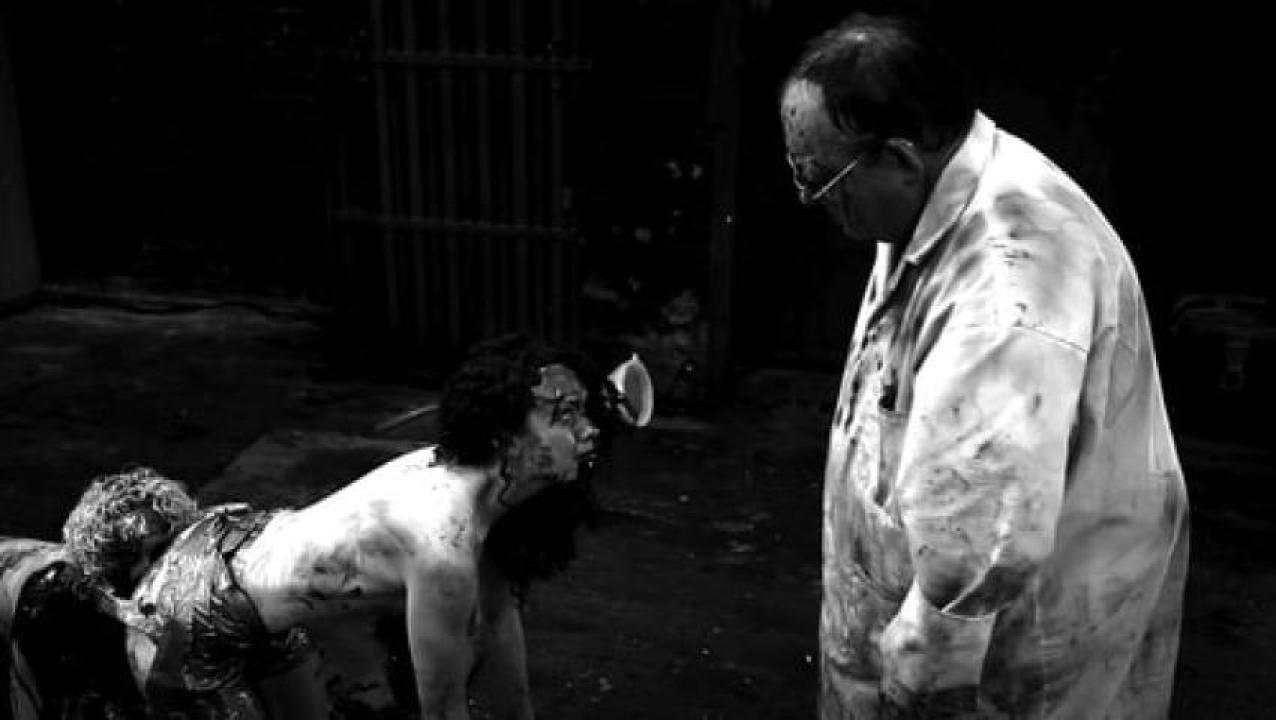 مشاهدة فيلم The Human Centipede II 2011 مترجم 